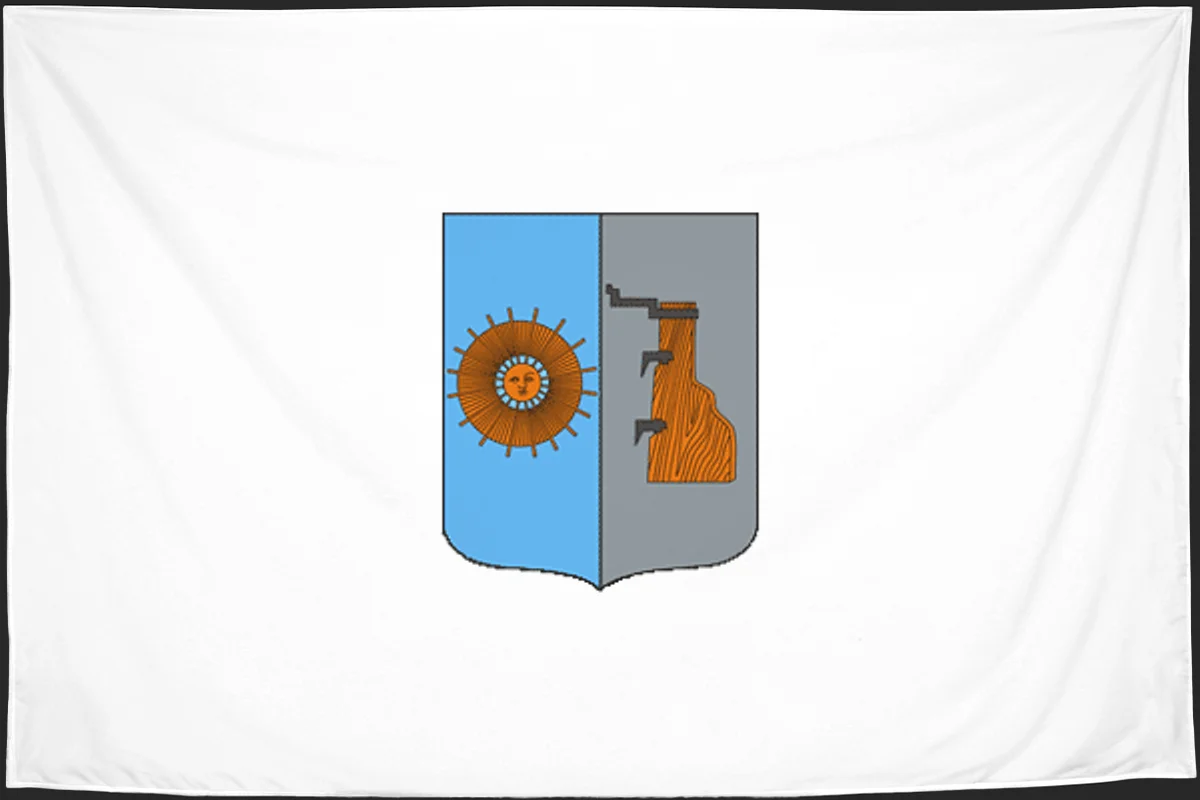 Флаг: Боровичский район